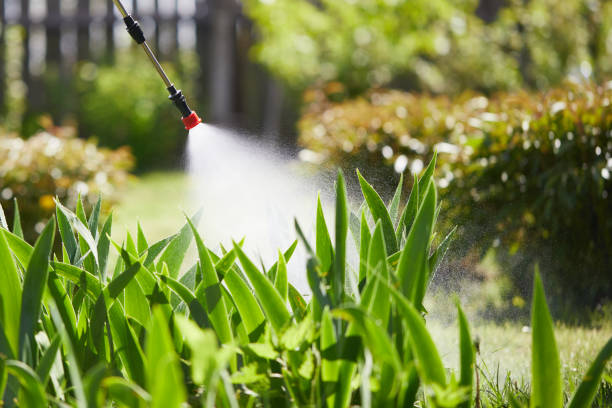 24/7 Emergency Ant Control experts in Newberry, SC